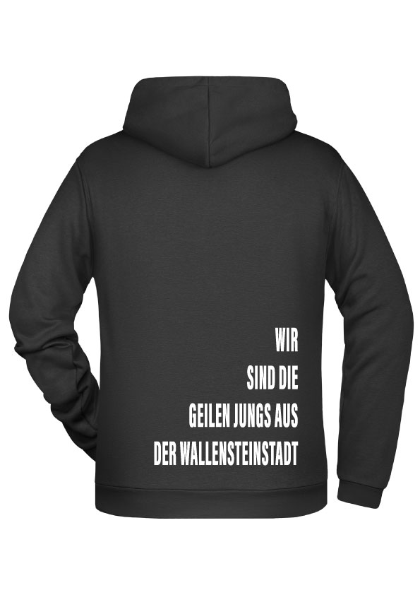 Sweatshirt Block 3C Nur der TV Altdorf FrankenSport