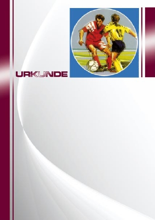 Sport Urkunde 87